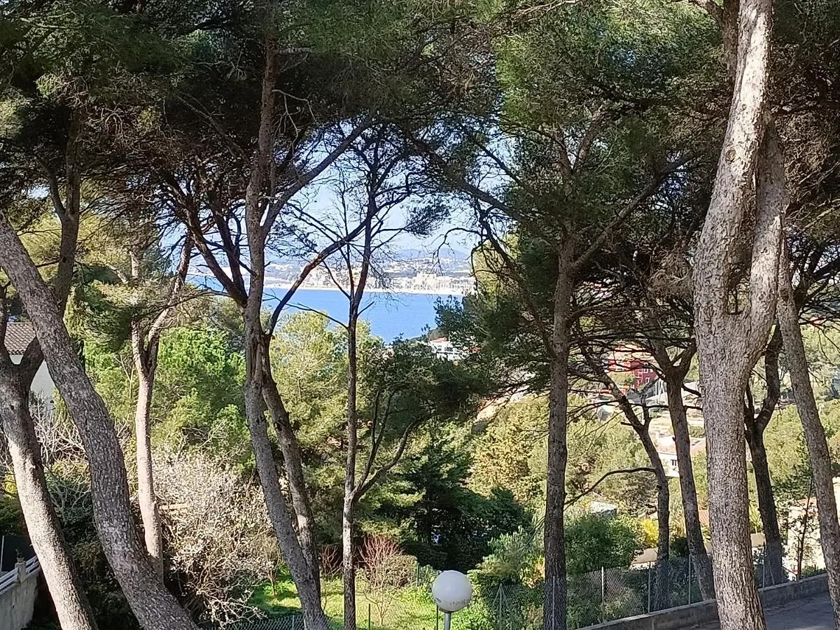 Apartment Appartement T2 Sanary Sur Mer France